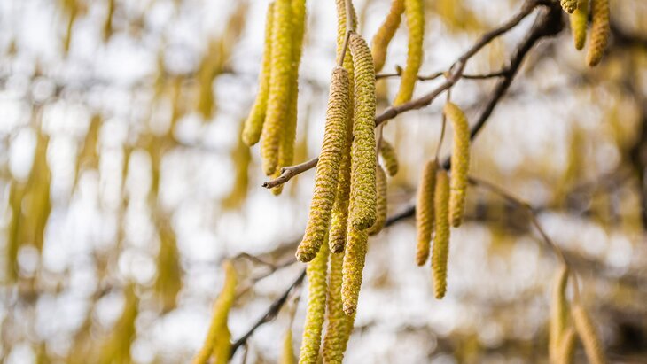 � ������� �������� ������� �������� � �����