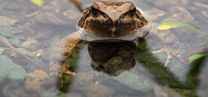 �������, ������� � ���� ������ �� ��������� ����������� ������