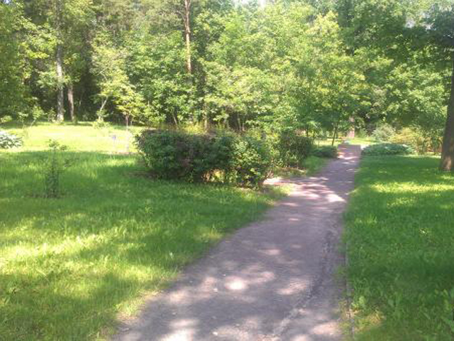 � ����� ����������� ����� ����� ���������