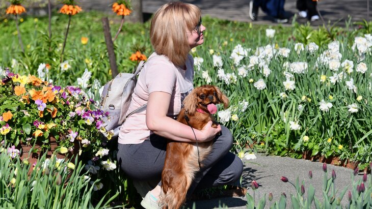 �������� �������������� 22 ������� ����� � �������� � ������