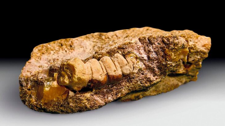 ������ ��������� �� 50 ��� ��� ����� � ������������