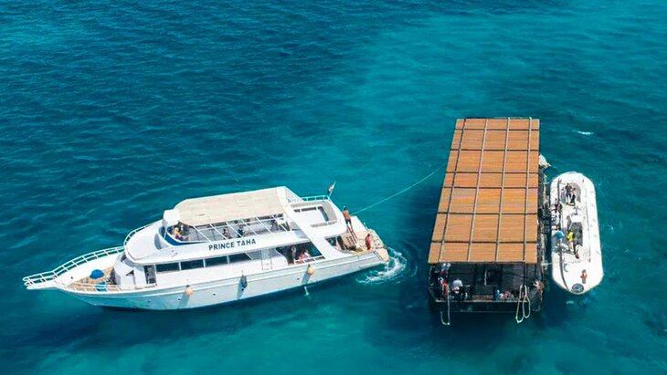 ���� ������� �������� � ��������� ������� ����� �������� ���������