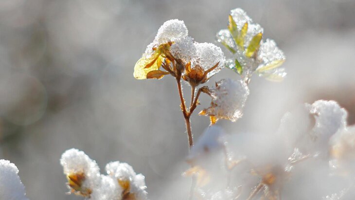 �������� ������� � ������ ���������� � ����� � ������ 2024 ����