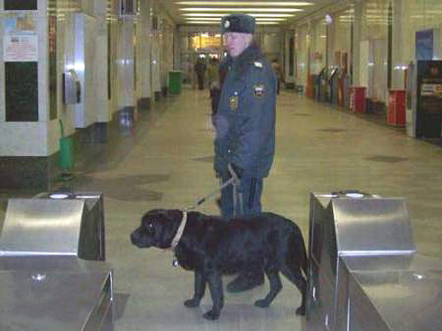 ���������� ������������ ������ ���� ������������ � ����� � ���� ������