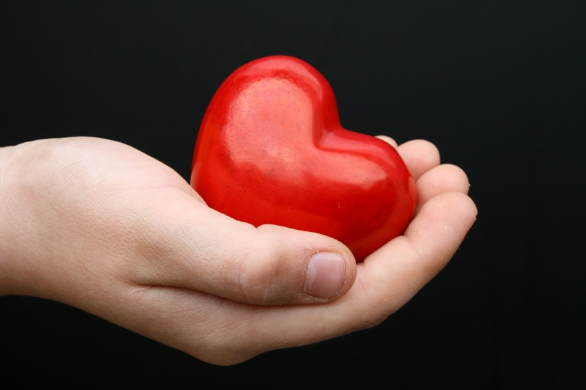 � ������ ����� ������� ��������� ������ ��������� ����� �������� ������� ��������� ���� �����