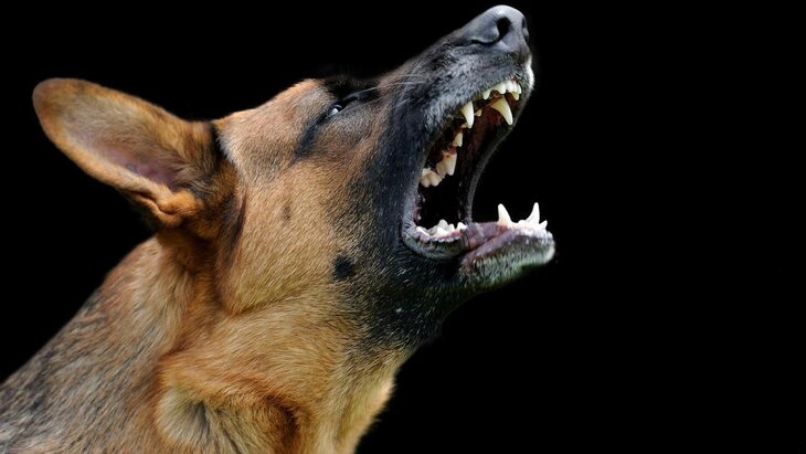 ������ �������� �������� ����������� �� �������� � ���������