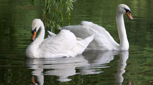 �� ���� � ������� ��������� ����� ������