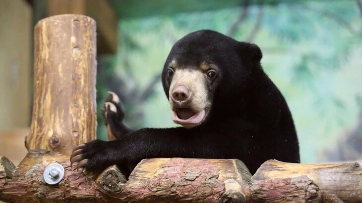 � ���������� �������� ��������� ����� ������ ��������� � ���������� ���������