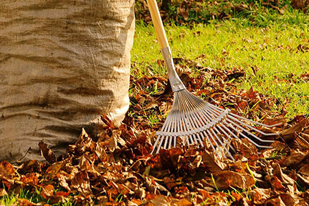 ���� ���������� �������� � ������� ����� ���� �� ���������� 20 ������ 