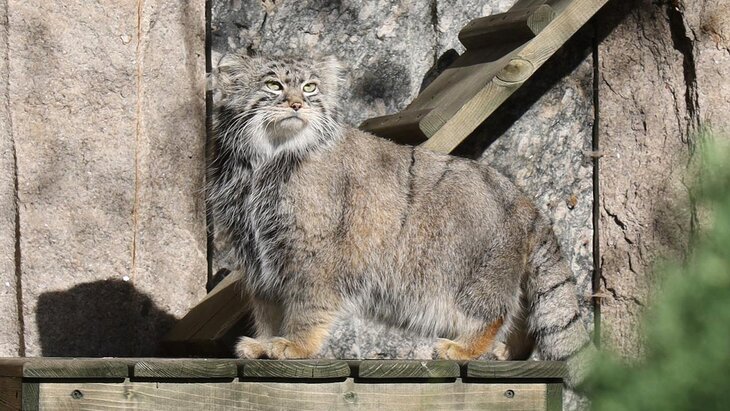 ���������� �������� ����������� �������� ����������� ����� 820 ��� ���