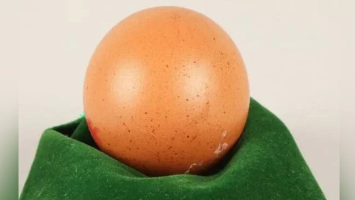 � ��������� ������� ����� ��������� ����������� ���� �� 250 ��������