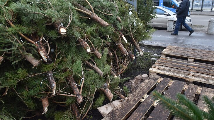 "�������" ����� ��������� � ��������� ������� � ���