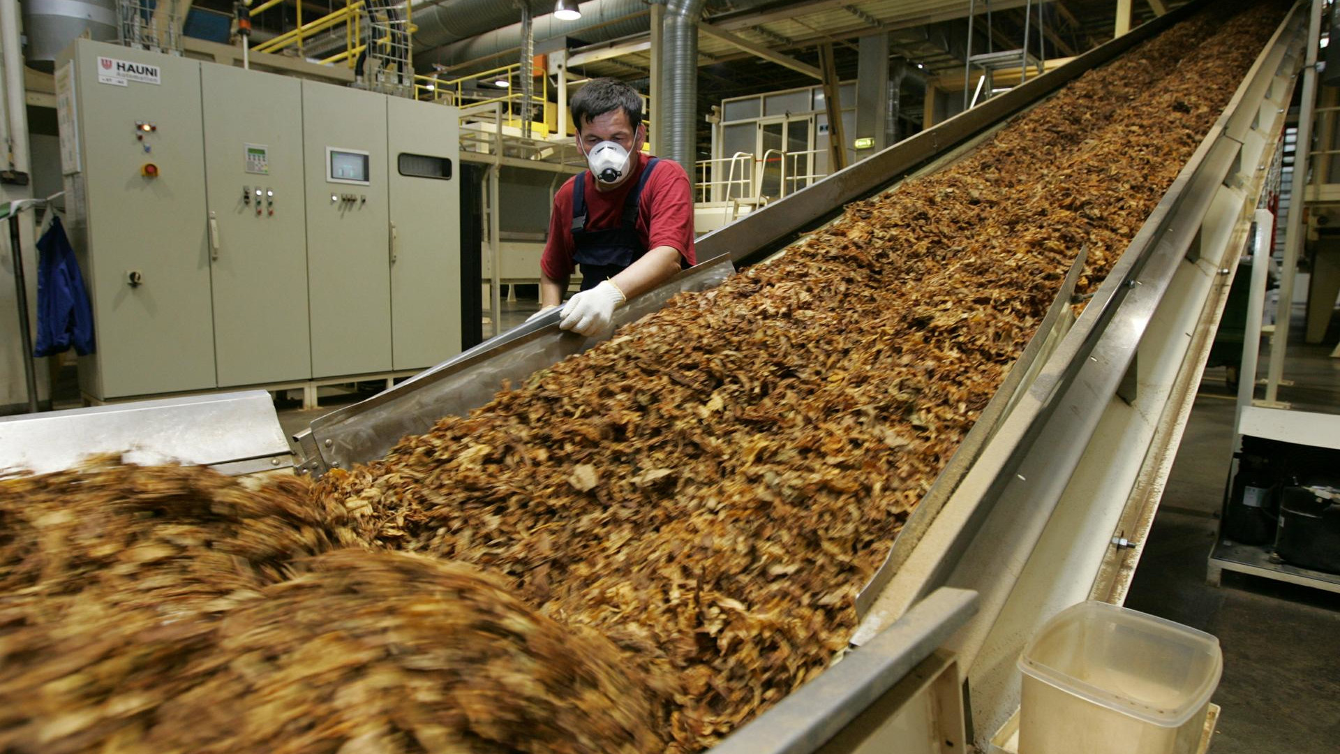 �������� Winston, Camel, LD, Sobranie, Mevius � �������� ������ ��������� �� ������ � ���������� ���������