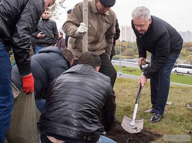 ������� ������ ������� � ������� �������� ����� ���������� �����