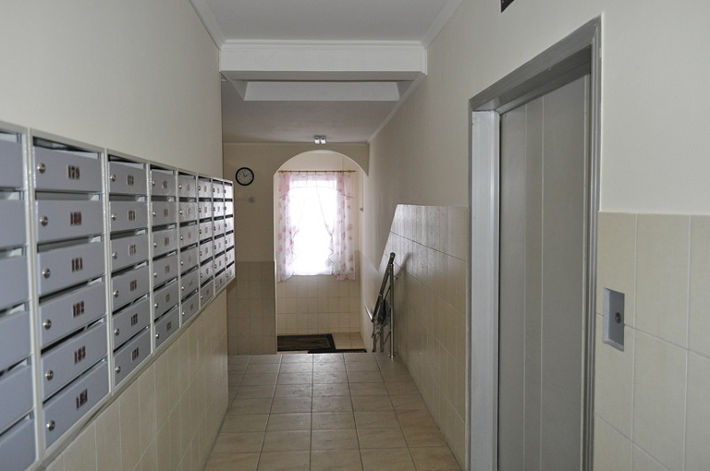 � ������������ �������� ������ ���� �� ����������� ����� 