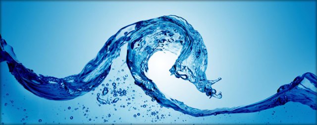 � ����������-������� �������� ����� ����� �����