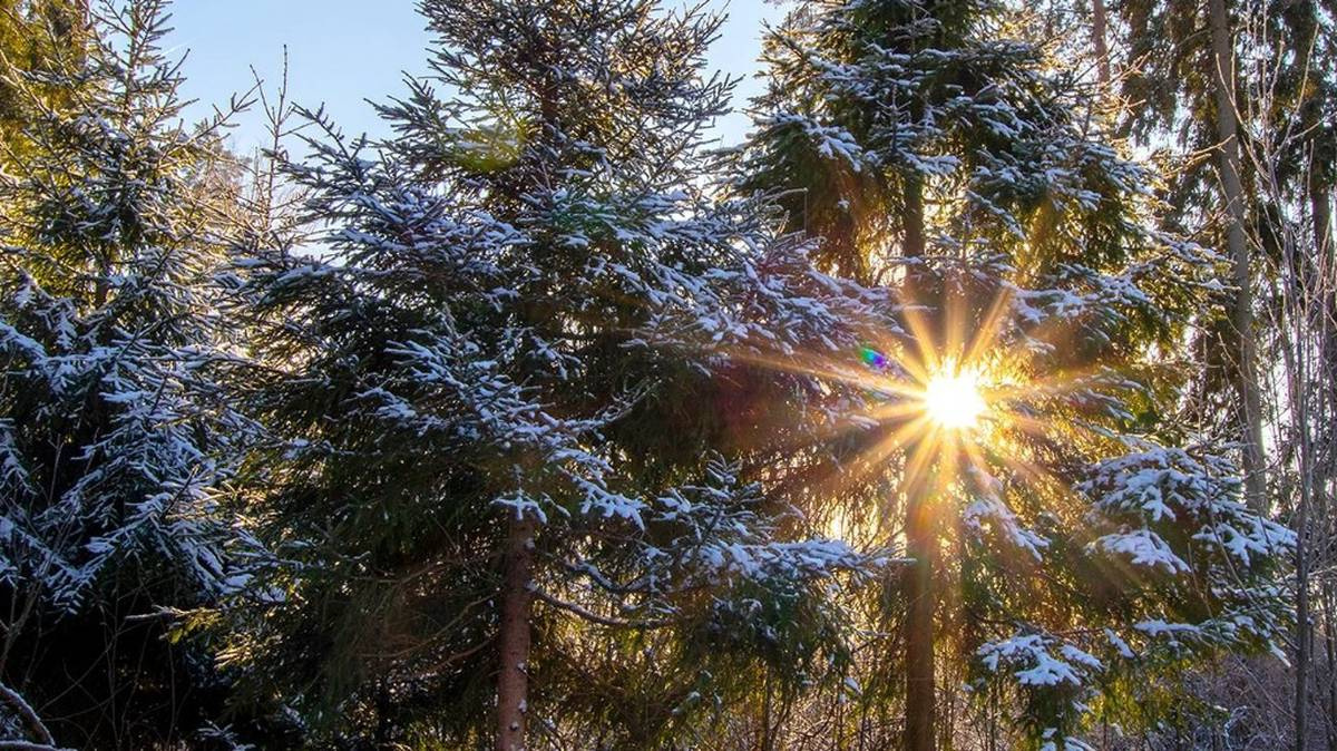 ��������� ���������� �� �������� �� ��������� ����������� ������