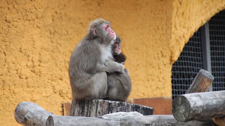 ���������� ������� ������� ������� �� ������ ������� �� ���������� ��������