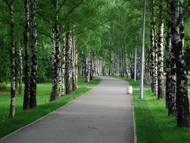 �������� ����� �� ����������� ������ ������ ��� �������� � ����� ��� ������  