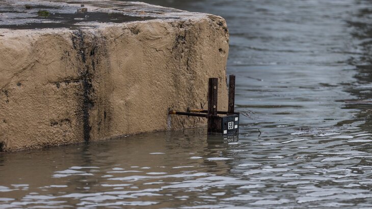 ������� ���� � ������ ����� ������� �������� �� 11 �� �� ��� ����