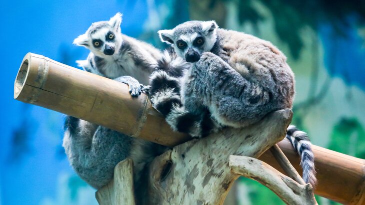 ���������� ������� � 1 ������ �������� �� �������� ����� ������