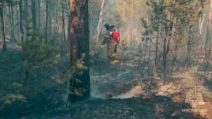 � ���������� ������� ������ ������� ��������� 629 ����� ��������