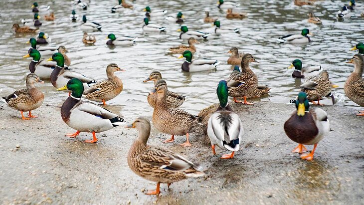 "����� �����": �� ��������� ����������� ������ ��������� ������������� ����