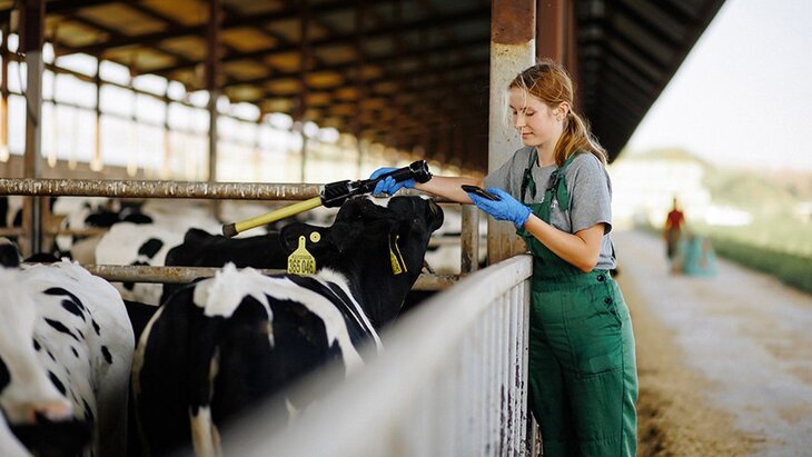 ����� 15 ��� ������ ���������� ����������� ������������ �� �������������������