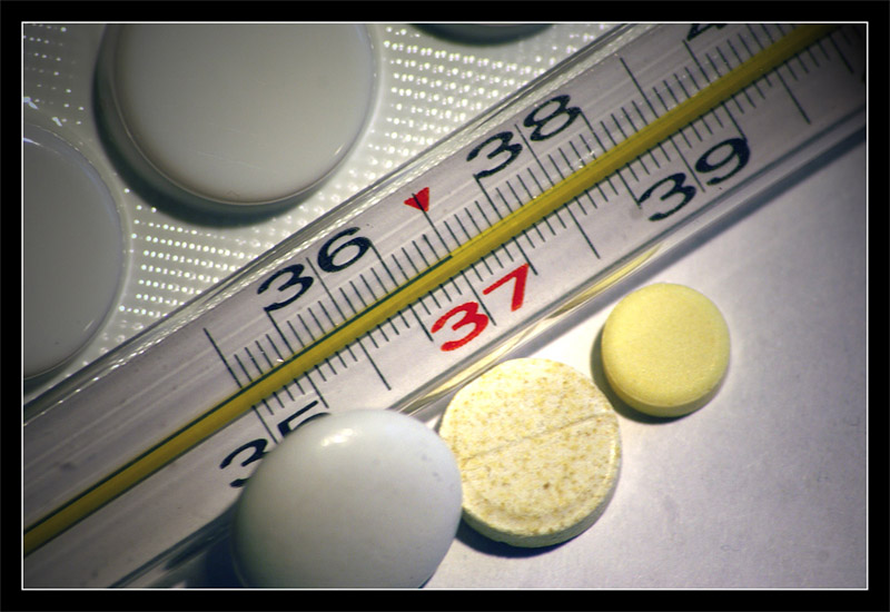 �������� ������ ������ �� ������