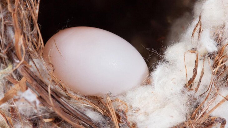 ��������� � ���� ����� ����� �������� ���� � ���