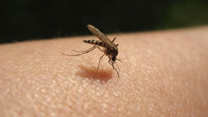 ���� ���������, ����� ����������� ����� �������� �������� �� �������