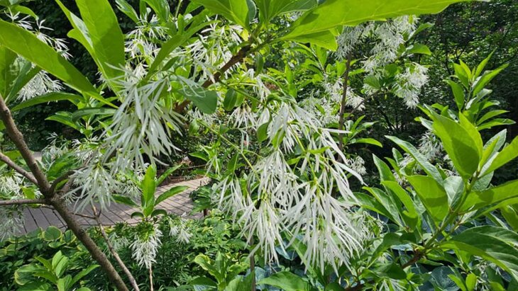 ���������� ���������� ������� � "����������� �������"