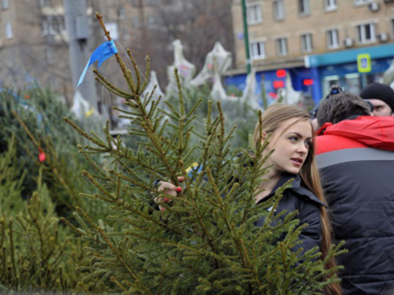 ����� 180 ������� ������� ��������� � ������� � 20 �������