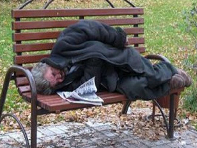 ����� ��������� �� ������ ������ ����������� ����� �� 22%