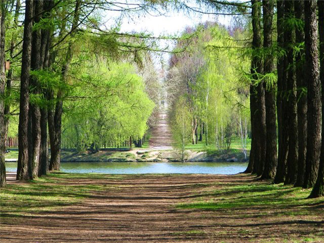 ������� ����� ������ ������ ������  