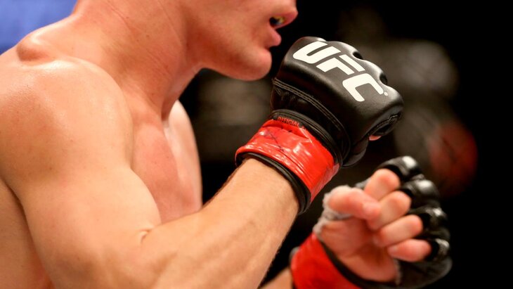 ����� ���� �������� ������, ��� ������ ���� ����������� UFC ������ 2025 ����