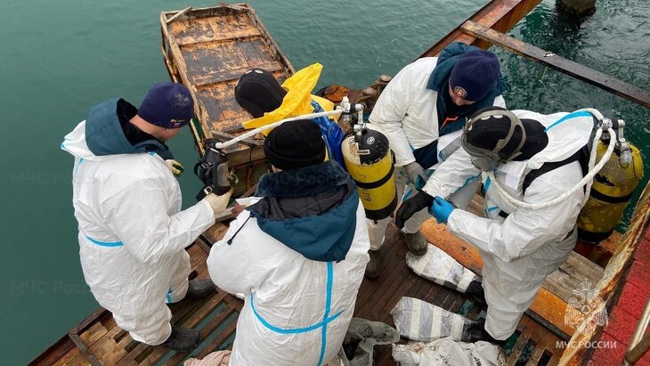 ����� �������� �������� ����������� 5 ��� �� �� ������� ����