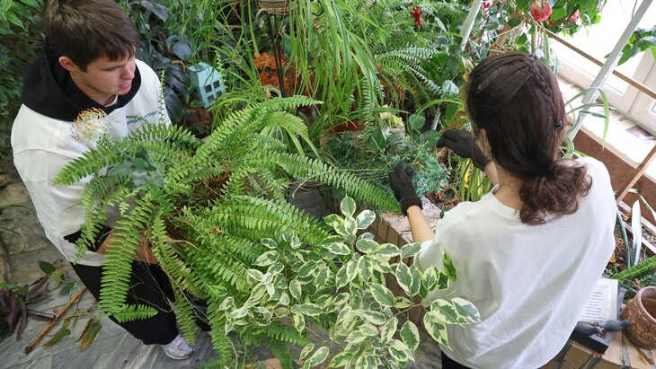 � ����� ������� ������� ������ ��� ��� ���������� �������