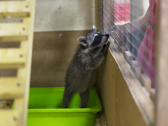 �� ������ ������ �������� ���������� ������� �������� � ���������