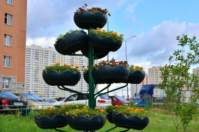 �� ��������� ���������� ������ �������� ��������