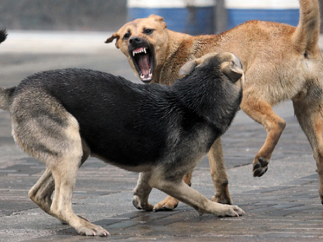 � ��������� ������� ������������� ����� 100 ������� ��������� ��������