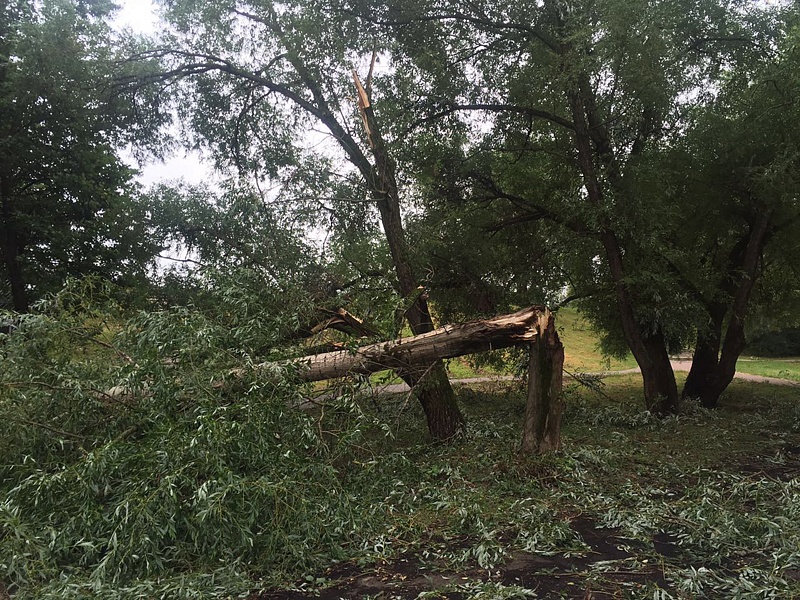 ������ ������ �������� ������� � ������ ������������