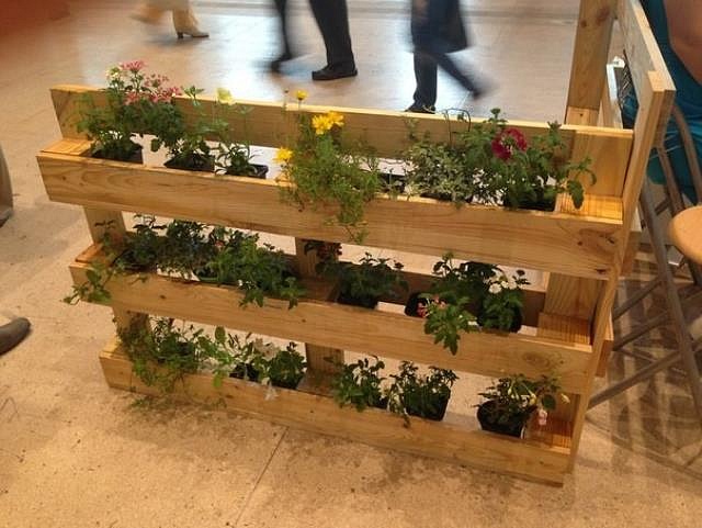 �������� ��������� ����� ����������� ������� � ������-��������