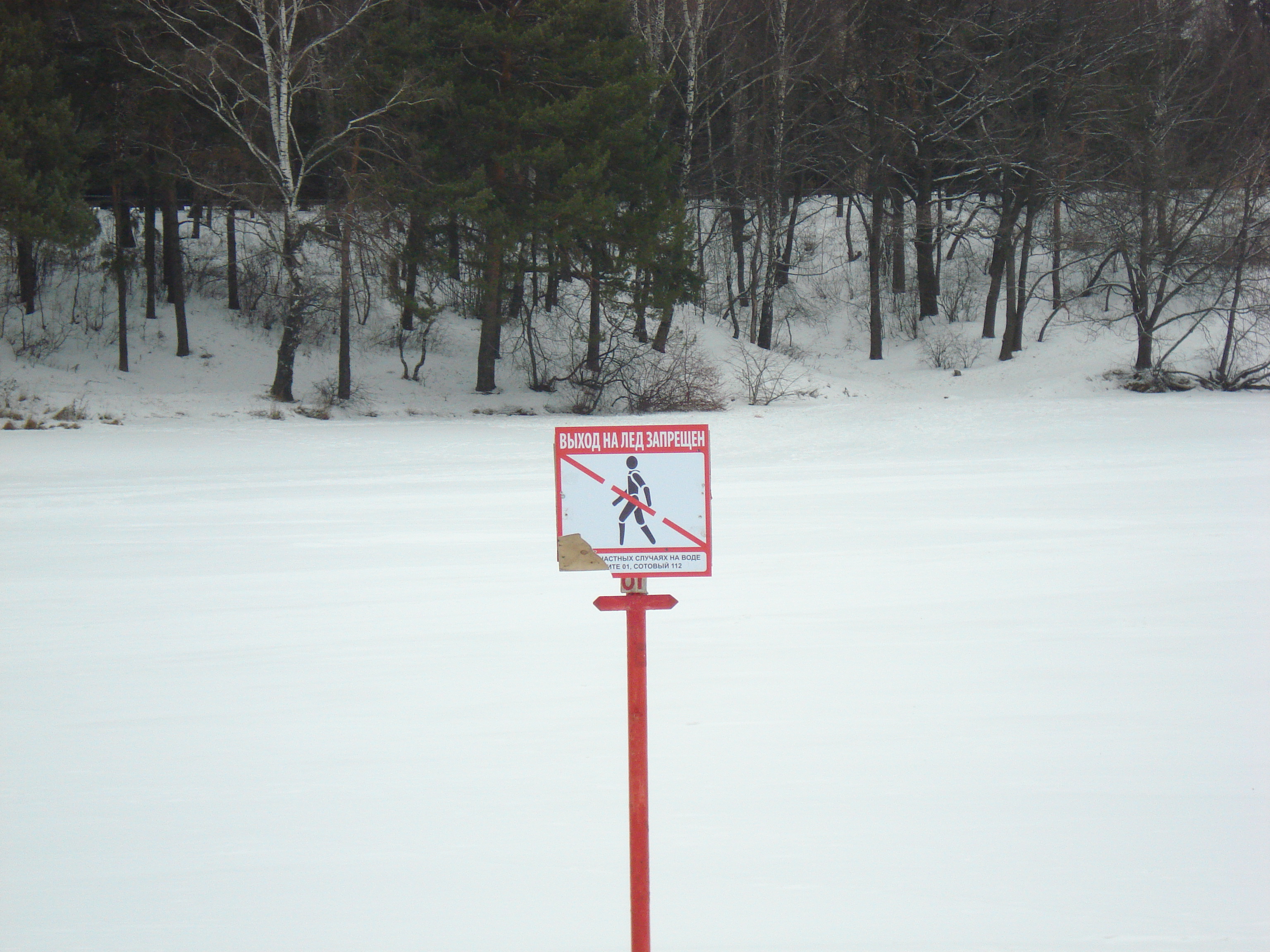 ���� �� ��� ����� �� ������ ��� �����