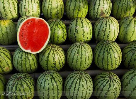 ������ � ���� �� �������� ������� � ������������ ������ ������ ��������