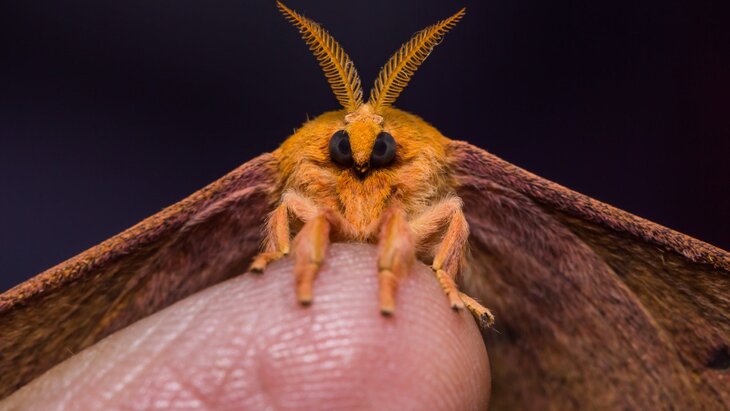 ���� ���������� �������������� ������� 30,5 ��� ����� �� ���� � ���� � ���