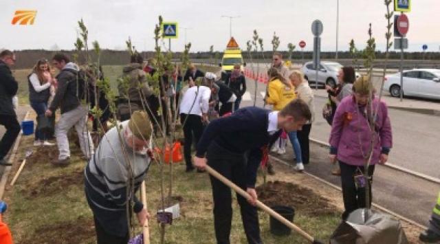 ����� ������ �������� �� ���������� ������ ������ � �����-���������