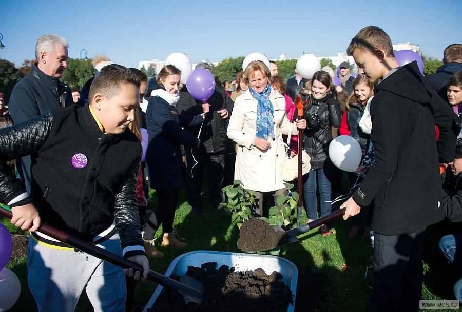 ������ �������: � ������ ��������� ���������� ��������� ���