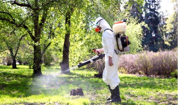 � ������ ������������� �������� ���������������� �����������, ������������ �� ������ � �������