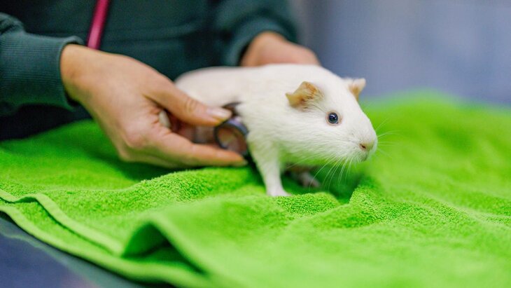 ������� �������, ��� � 2024 ���� ������������� ������� ����� ����������� ��������